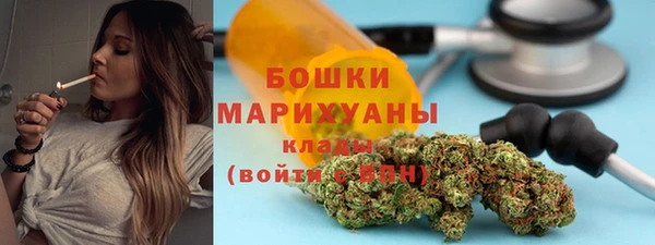 стафф Арсеньев