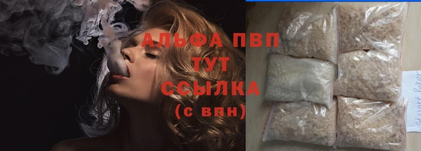 ПСИЛОЦИБИНОВЫЕ ГРИБЫ Аркадак