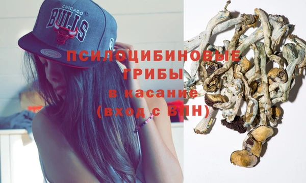 стафф Арсеньев