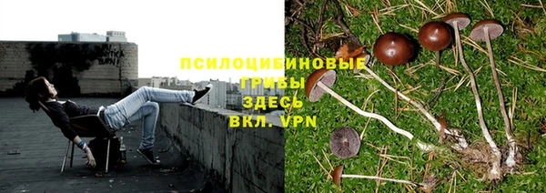 стафф Арсеньев