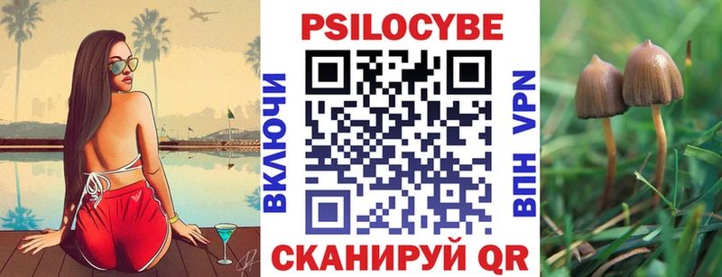 дарнет шоп  мега онион  Галлюциногенные грибы прущие грибы  Балей 